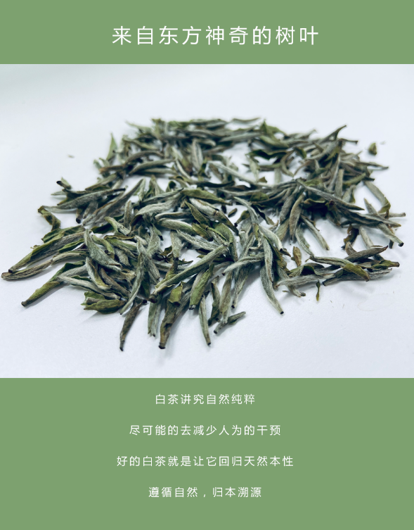 微信截圖_20200430082149.png