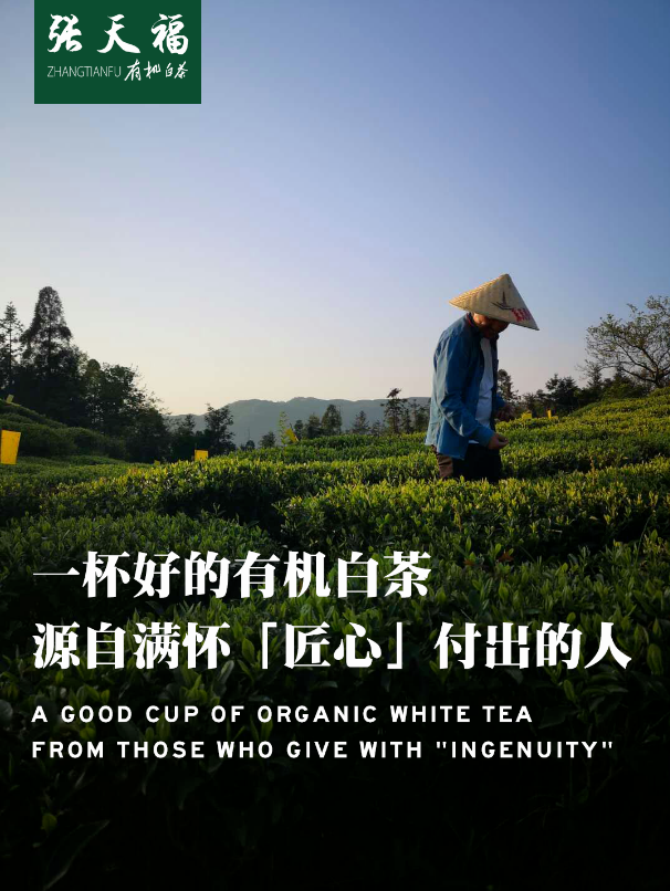 微信截圖_20200516102859.png