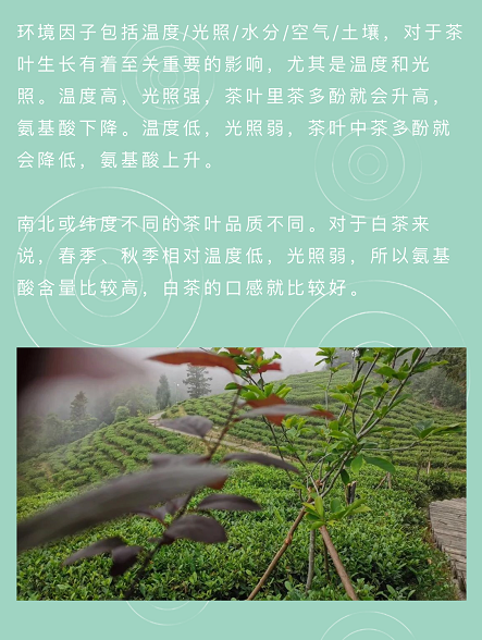 微信截圖_20200516104200.png