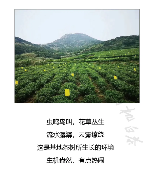 微信截圖_20200612091710.png