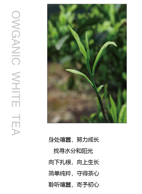 微信截圖_20200612091756.png