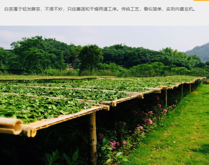 微信截圖_20200612090037.png