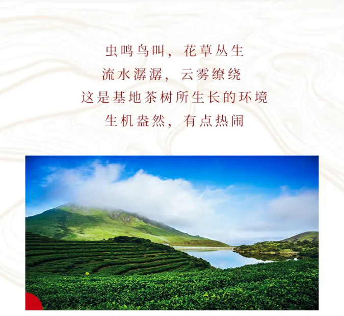 微信截圖_20200620084441.png