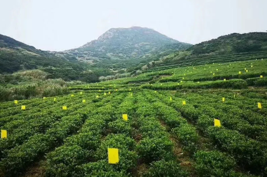 微信截圖_20200808150452.png