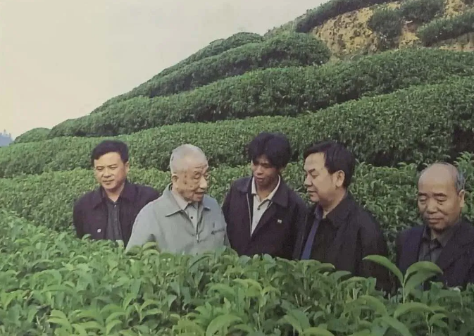 微信截圖_20200818140322.png
