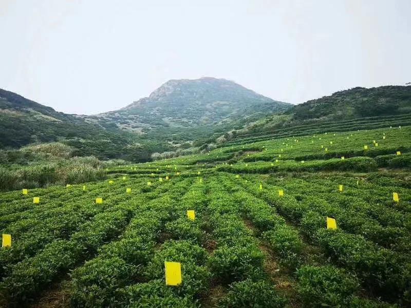 微信圖片_20210611164305.jpg