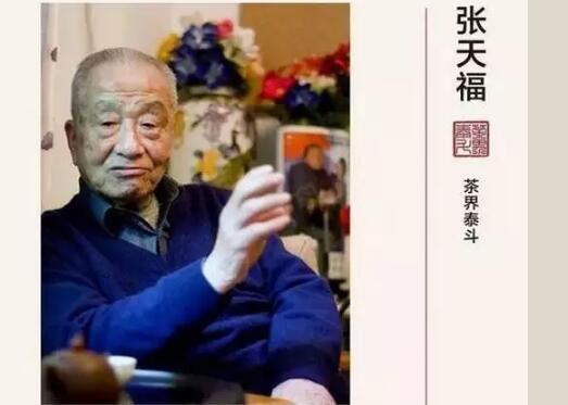 茶界泰斗——張?zhí)旄? width=