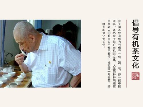 茶界泰斗——張?zhí)旄＃?）